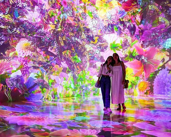 Hotel near Vintage Park Attractions - Digital art exhibit